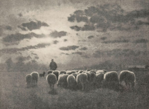 Shepherd with flock and dog, Evening, page, photomechanical print, photographer: Léonard Misonne,