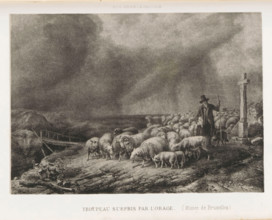 Reproduction of Flock of sheep surprised by the thunderstorm by Eugène Joseph Verboeckhoven,