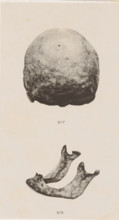 Caverne de Chauvaux, Posterior view of a skull and face on a mandible, page, photomechanical print,