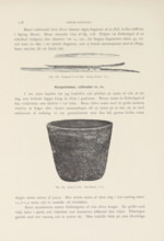 Korg af vide. Step House, Basket of willow branches found in Mesa Verde National Park, page,