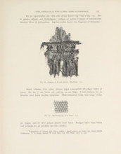 Bomullsväfnad. Ruin 9, Two fragments of cotton fabrics found in Mesa Verde National Park, page,