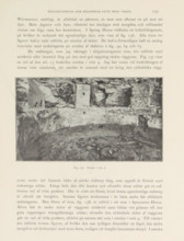 Estufa i ruin 9, View of a ruined cliff dwelling in Mesa Verde National Park, page, photomechanical