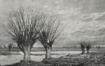 View of a number of trees by a water, page, photomechanical print, monogram: 'Leipzig, SG',