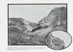 Blackgang Chine, photograph, page, Page 20 with 2 photos of Blackgang Chine and a caption. Part of