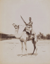Soldier on a camel, presumably in Egypt, photograph, Egypt, 1860 - 1900, photographer, North