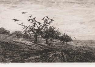 Landscape with trees and crows, L'arbre aux corbeaux, print, printmaker: Charles-François Daubigny,