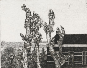Tree buds, print, Tree buds in the foreground, a house in the background., signature: 'KEES STOOP',