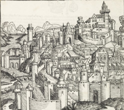 View of Pisa, Pisa, Liber Chronicarum, print, book illustration, pastedown, A view of a city. Here