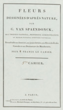 Flowers drawn from nature, 5th Cahier, wrapper, print, Cover for a series of four prints of flowers
