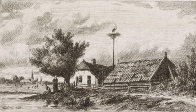 Stork's nest between houses on the waterside, print, A stork's nest between a barn and a house on