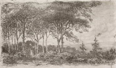 Woman by a row of trees, print, A wooded landscape with a woman with a basket on her back in the