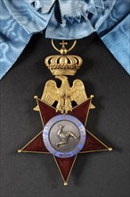Insigne de dignitaire de l'Ordre Royal des Deux-Siciles (avers)