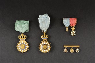 Médailles et l'Ordre de la Réunion, de l'Ordre de la Légion d'Honneur, et de l'Ordre de Saint-Louis (revers)
