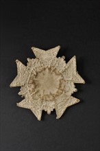 Légion d'Honneur. Plaque de Grand Aigle de manteau (revers)