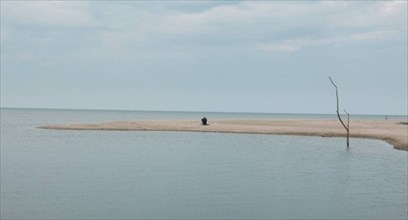 Under trottoaren - Stranden (2024)