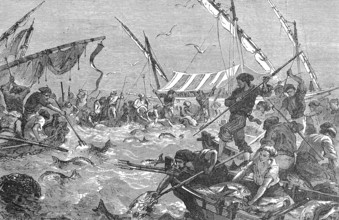 Thunfischjagd mit Harpunen, Tunfisch, Fischerei in La Madrague an der Küste der Provence, im Jahre 1869, Frankreich / Tu