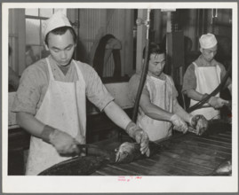 Gutting tuna at the Columbia River Packing Association. Astoria, Oregon 1941. still image. Photographs. The Miriam and I