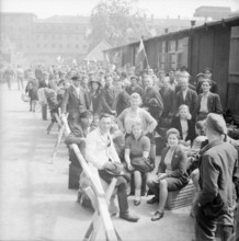 Displaced Persons and Refugees in Germany The Displaced Persons camp within the grounds of Hamburg Zoo was build by the