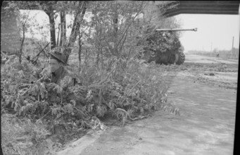 The British Army in North-west Europe 1944-45 A camouflaged Sherman Firefly of the Irish Guards and infantry guard a sec