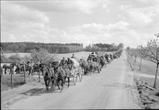 Germany Under Allied Occupation German troops using horse-drawn transport make their way towards the British forces in H