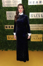 NEW YORK, NY - NOVEMBER 18: Brooke Shields at An Evening Honoring Leonard A. Lauder with WomenÕs Leadership Award at th