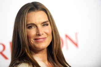 Brooke Shields bei der Elton John AIDS Foundation s 13th Annual An Enduring Vision Benefit Gala im C