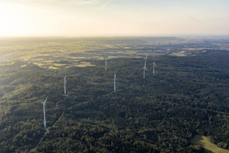 Windkraft im Hohenloher Land Bäume Windräder Windkraft Windstrom Windkraftanlagen im Wald Hohenlohe Luftbild 20210922tr