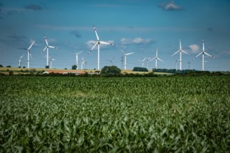 Region Uckermark im Bundesland Brandenburg: Landschaft Landwirtschaft Felder Windräder Windpark bei Templin Uckermark *