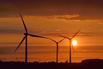Winderrader bei Sonnenuntergang, Deutschland, Niedersachsen windwheels at sunset, Germany, Lower Saxony BLWS544322 Copy