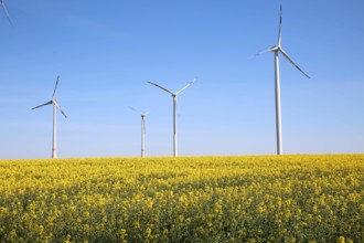 Blick am Donnerstag (23.04.2020) unweit von Fienstorf (Landkreis Rostock) auf Windräder in einem Rapsfeld. Die erneuerb