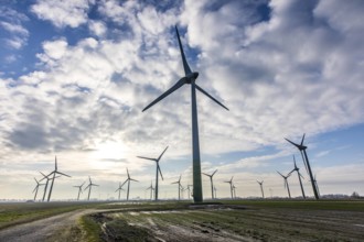 Windpark in Ostfriesland Niedersachsen Windenergieanlagen beim Ort Dornumersiel *** Wind park in