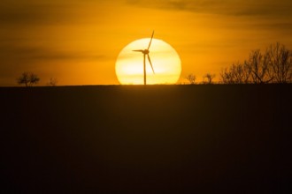 Ein Windrad zeichnet sich hinter der untergehenden Sonne ab. Schlegel, 25.02.2019. Schlegel Deutschland *** A wind turb