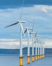 Windräder stehen in langer Reihe in der Nordsee bei Teesport (Grossbritannien). *** Wind turbines stand in long line in