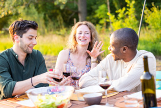 A group of friends having a wonderful time enjoying a picnic outdoors with wine on a sunny day Three friends sharing a j