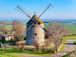 Ein Blick auf die Hollaender Turmwindmühle in Neuplatendorf