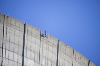 Grafenrheinfeld, Atomkraftwerk, 31.03.2021, Atomkraft in Deutschland Bild: Ein Vogel sitzt auf einer der Kuehltuerme des