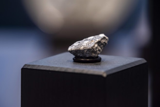 Meteoriten aus Brandenburg in einer Vitrine im Naturkundemuseum in Berlin am 12. März 2024. Meteoriten aus Brandenburg i