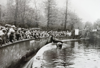 Zoo GDR, 20230101, Aufnahme ca. 1950, Berliner Zoo *** Zoo GDR, 20230101, photo ca 1950, Berlin Zoo