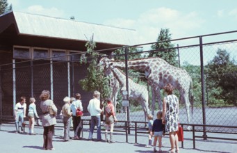Bildnummer: 52124978  Datum: 11.06.1971  Copyright: imago/Gerhard Leber
Zoobesucher bei den