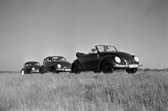 KdF Wagen Drei Modelle des Volkswagen Käfer, oder KdF Wagen, mit offenem und geschlossenem Dach und als Cabrio am Rande