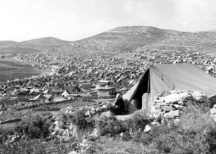Israel / Palestine: Palestinian refugees driven from their homes by Israeli forces shelter at Fawwar, near Al-Khalil / H