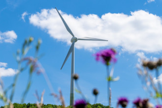 Munich, Bavaria, Germany - 30 May 2025: A large SWM wind turbine is located on the Fröttmaninger Müllberg, generating gr