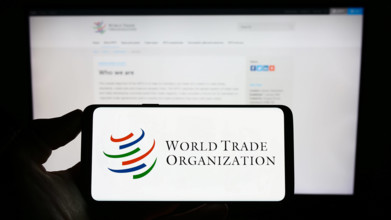 Person holding cellphone with logo of World Trade Organization (WTO) on screen in front of webpage. Stuttgart, Germany -