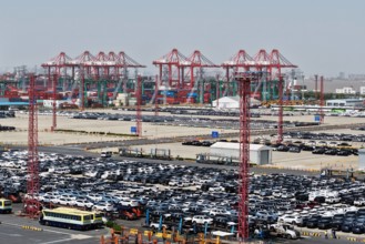 WTO Warned US Tariffs Global Trade Worsening