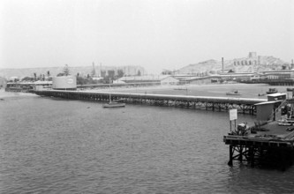 Panamakanal Auf dem Weg zum Panamakanal von Miraflores her, Panama, 1955. On the way to the Panama Canal, Panama 1955.,
