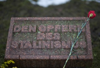 Bildnummer: 58877557  Datum: 09.01.2011  Copyright: imago/IPON
Luxemburg - Liebknecht -