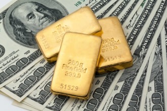 Anlagebarren auf 100-Dollarscheinen bullion bars on 100 Dollar bills BLWS678195 *** bullion at 100 Dollar bills Bullion