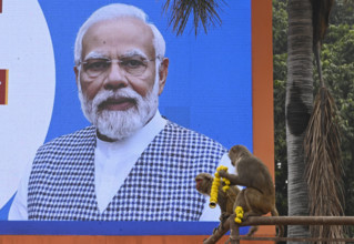 AYODHYA, INDIA - DECEMBER 30: A monkey with the garland sitting near Hanuman Garhi during the road show of Prime ministe