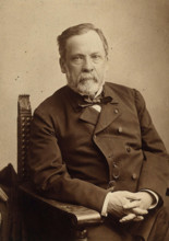 Louis Pasteur. Photograph by Nadar.