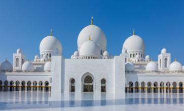 Blick auf die Große Scheich-Zayed-Moschee in Abu Dhabi aus weißem Marmor mit Blumen aus Edelsteinen im Design und schönen Spiegelungen im Wasser